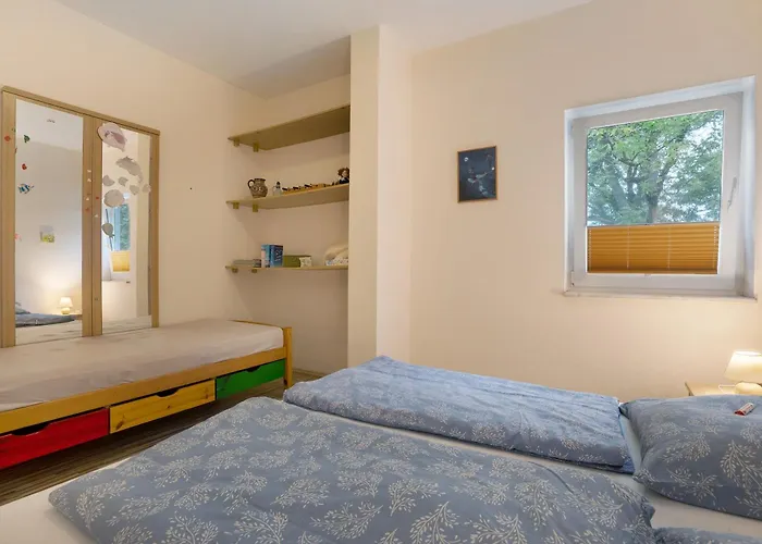 Entdecken فورست