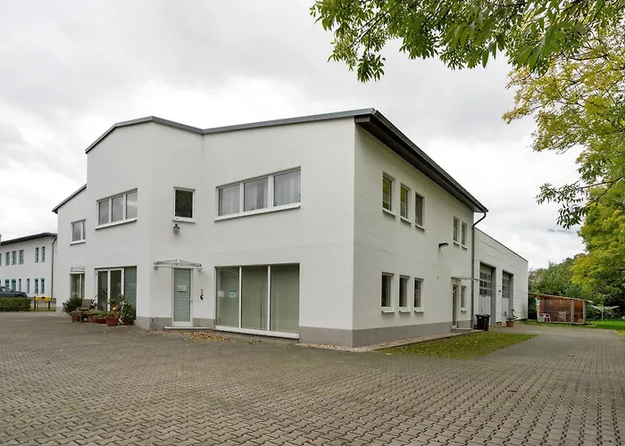 Entdecken فورست